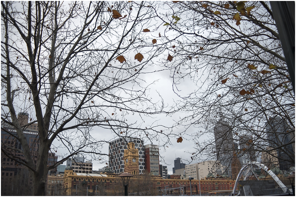 Angie Duncan Photography